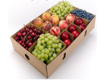 Manufacturers Exporters and Wholesale Suppliers of Fruits & Vegetables Packaging Boxes Mumbai Maharashtra